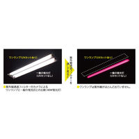 エバーライツ FLR40S・EX-D/M/36・WAN 1個（25本入）