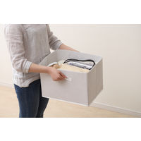 アイリスオーヤマ インナーボックス 幅38.5×奥行27×高さ27cm 収納バスケット カラーボックス 縦置き 折りたたみ ホワイト FIB-38R １個