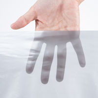 日幼 カラービニパック 銀 1袋（20枚）