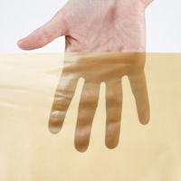 日幼 カラービニパック 金 1セット（100枚：20枚×5袋）