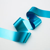 日幼 メッキテープ 幅5cm×100m巻 水　5巻