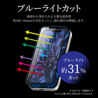 iPhone 13 mini ガラスフィルム 液晶保護フィルム 全画面保護 ソフトフレーム ブルーライトカット（直送品）