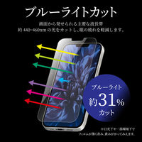 iPhone 13 mini ガラスフィルム 液晶保護フィルム ブルーライトカット（直送品）