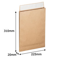 スーパーバッグ 薄マチ宅配袋（紙製） ラミネート加工 茶 ネコポス対応サイズ 封かんシール付 1箱（200枚：50枚入×4パック）