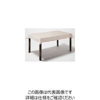 杉田エース テーブルクロス レクタングル グレー 955502 1枚（直送品）