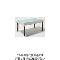杉田エース テーブルクロス レクタングル ライトブルー 955500 1枚（直送品）