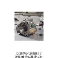 エスコ # 80/ 7x13mm 研磨キャップ(先丸/5個) EA819GF-212 1セット(50個:5個×10袋)（直送品）