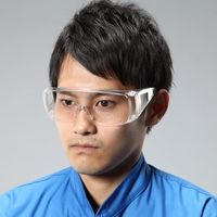 エスコ 保護めがね EA800AN-1B 1セット(30個)（直送品）