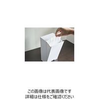 エスコ 120x75x220mm マスク収納ケース(マグネット付・白) EA929AP-131 1セット(4個)（直送品）