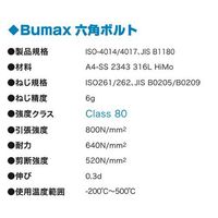 エスコ M 8x 35mm強力六角ボルト(SUS/ナットワッシャ付全ネジ EA949DV-809 1セット(10セット)（直送品）