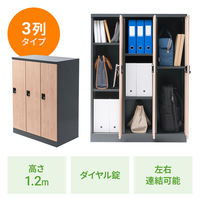 サンワサプライ 縦型パーソナルロッカー3列タイプ PLK-TWT3H120LM 1台（直送品）