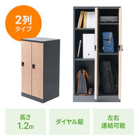 サンワサプライ 縦型パーソナルロッカー2列タイプ PLK-TWT2H120LM 1台（直送品）