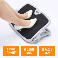 サンワサプライ エルゴノミクスフットレスト(足置き台) MR-FR1N 1個（直送品）