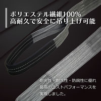フリーク FREAK CEベルトスリングE型 使用荷重3150kg 幅100mm 長さ2.5m 65743 1本（直送品）