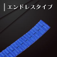 フリーク FREAK ラッシングベルト青 エンドレス0.75ton 幅25mm×長さ4m 75045 1本（直送品）