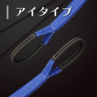 フリーク FREAK ラッシングベルト青 アイ2.5ton 幅50mm×長さ1+9m 75183 1本（直送品）