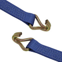 フリーク FREAK ラッシングベルト青 Jフック2.5ton 幅50mm×長さ1+10m 1セット(10本) 75294（直送品）