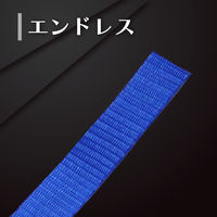 フリーク FREAK 荷締めベルト青 エンドレス250kg 幅25mm×長さ6m 1セット(10本) 75017