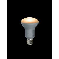 朝日電器 ＬＥＤ電球ミニレフ形 LDR4L-H-E17-G611 1個（直送品）