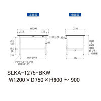 【車上渡し】山金工業 ワークテーブルLAB 実験台 耐薬品天板 高さ調整 幅1200×奥行750×高さ900mm ブラック 1台（直送品）