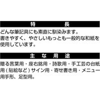 ニッケン文具 奉書色紙 B2-シキ2P 1セット(20枚:2枚×10冊)