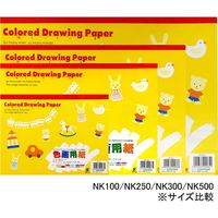 ニッケン文具 色画用紙 A4 10色 27枚 NK300 1セット(5冊)（直送品）