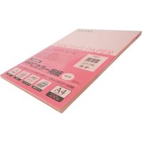 ニッケン文具 PPCカラー用紙 A4 100枚 ピンク NKK-4 1セット(5冊)