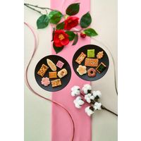 中央軒煎餅 【お歳暮ギフト・熨斗付き】中央軒煎餅 花色しおん冬 30N 330523 1セット（直送品）