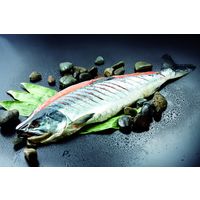 江戸屋 【お歳暮ギフト・熨斗付き】江戸屋 新巻鮭切れ目入り 430065 638549 1セット（直送品）