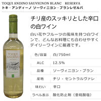 トキ・アンディーノ ソーヴィニヨン・ブラン レゼルバ 750ml　白ワイン　辛口