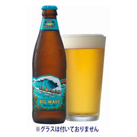 輸入ビール　コナ　ビッグウェーブ　355ml　1ケース(24本)