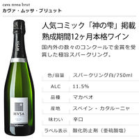 スペイン　ヴァルフォルモッサ　カヴァ　ムッサ　ブリュット　スパークリングワイン　白　辛口　750ml　1本　マルカイ