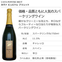 スペイン　カヴァ　ピュピトレ　ブリュット　スパークリングワイン　白　辛口　750ml  1セット（2本）　富士貿易