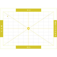 アルゼンチン　サンタアナ クラシックシャルドネ 白　辛口　750ml 1本　日本酒類販売