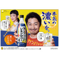 濃いめのレモンサワーの素 瓶 500ml 1本 サッポロ　リキュール