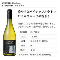 チリ　アンデシータ　シャルドネ　白ワイン　辛口　750ml 1本　国分