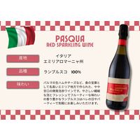 イタリア PASQUA（パスクア） ランブルスコ デッレミリア 赤スパークリングワイン やや甘口 750ml  1本 国分