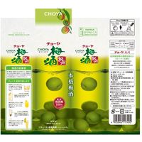 チョーヤ梅酒 チョーヤ 梅酒 紀州 パック 1L　1本