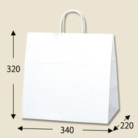 シモジマ HEIKO 25チャームバッグ 34-1 白無地50枚入 003269000 1束（50枚入）