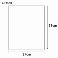 シモジマ HEIKO クリスタルパック S B4100枚入 006739300 1束（100枚入）