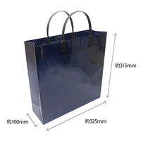 エヒメ紙工 ラミネートバッグ小 紺 PPS-B 1個