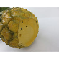 【食品サンプル】 果物専科 パイナップル 3036 日本サンプル 1個（直送品）