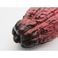 【食品サンプル】 果物専科 カカオの実 A 紫 3069 日本サンプル 1個（直送品）