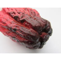 【食品サンプル】 果物専科 カカオの実 D 赤 3072 日本サンプル 1個（直送品）