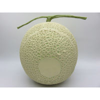 【食品サンプル】 果物専科 マスクメロン(大) 3001 日本サンプル 1個（直送品）
