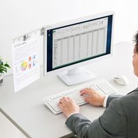 サンワサプライ データホルダー(ホワイト) DH-210N 1個