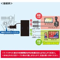 サンワサプライ USBチャージャー付2連ソケット(2ポート・4.8A) CAR-CHR78CUN 1個（直送品）
