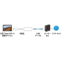 サンワサプライ USB3.2 TypeC-LAN変換アダプタ(ホワイト) USB-CVLAN2WN 1個（直送品）