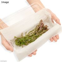 （水草）ロタラ　ロトンディフォリア（無農薬）（１０本） 【北海道・九州・沖縄・離島配送不可】【納品日指定必須】（直送品）