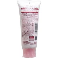 サラヤ arau.(アラウ) せっけん洗顔フォーム 120g×12セット 4973512238666（直送品）